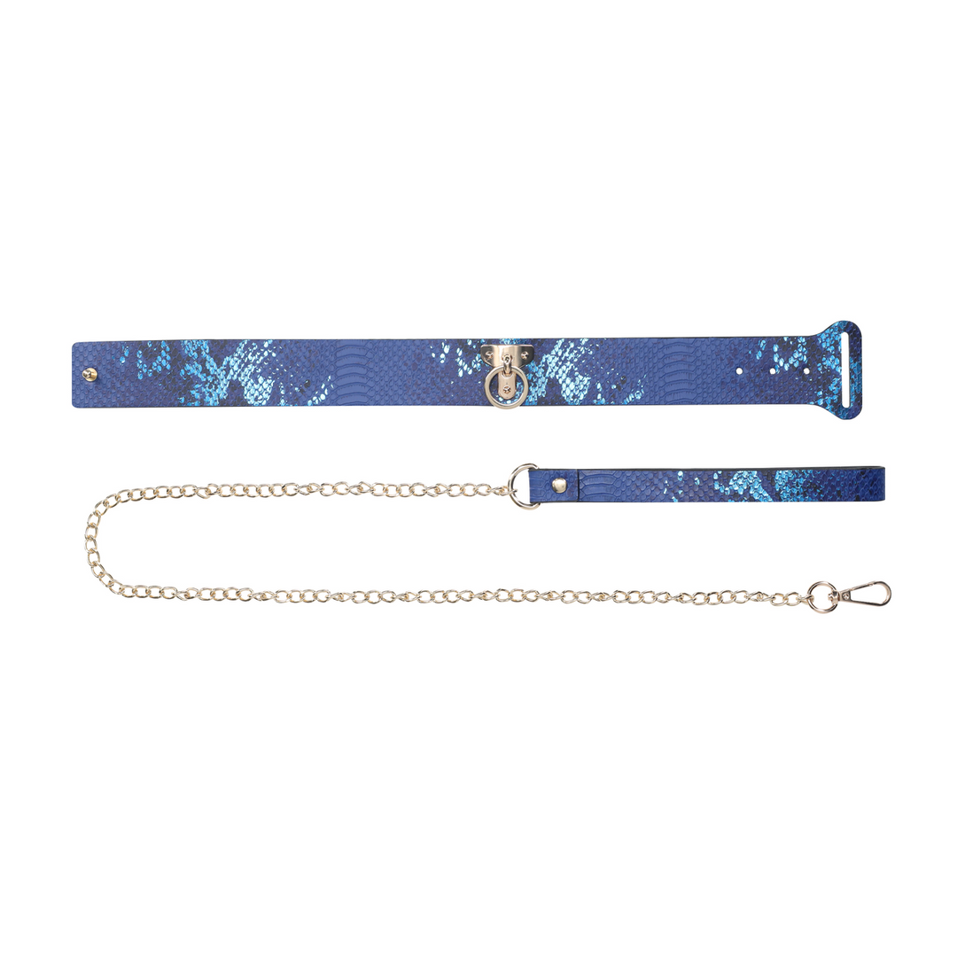 Florence Collection - Collar with Leash - Blue - obrazek 3