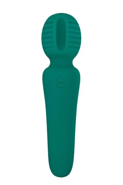 AANDE EVES PETITE PRIVATE PLEASURE WAND